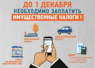 До 1 декабря необходимо заплатить имущественные налоги 