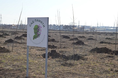 Ейчане приняли участие в акции «Сад памяти»