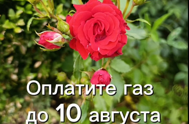 Оплата газа — дело простое!