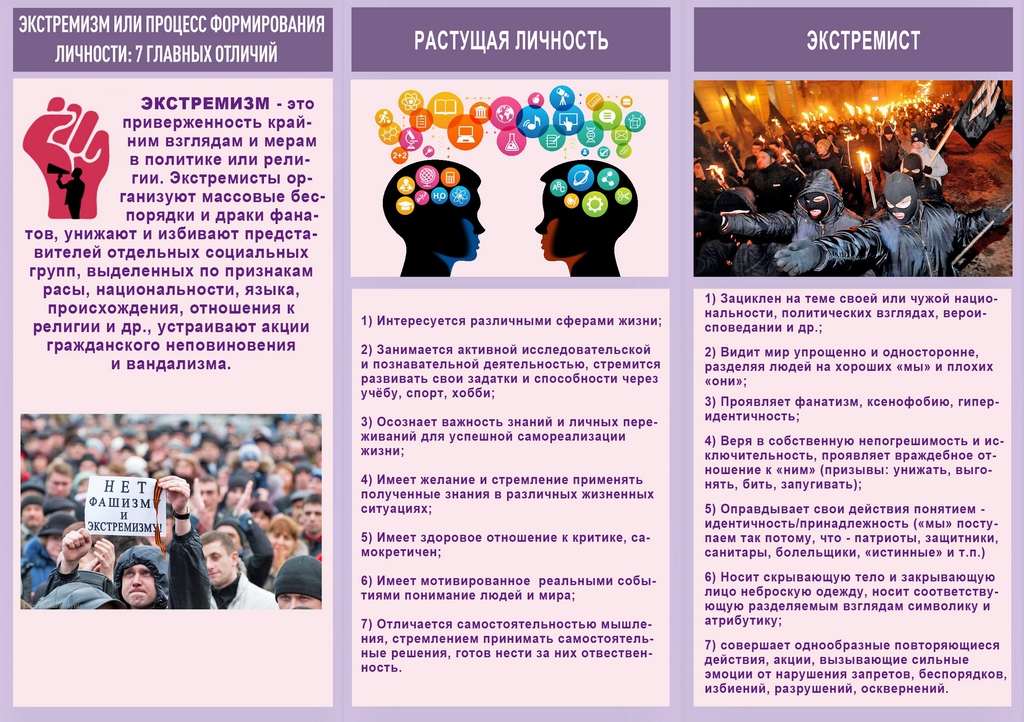 Осуществление экстремистской деятельности