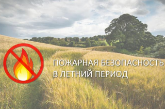 Основные правила пожарной безопасности в быту и на дачном участке