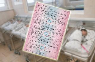  С начала года Отделение СФР по Краснодарскому краю оплатило услуги по родовым сертификатам более чем 31 тысяче кубанских мам