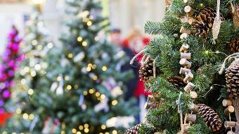 Вниманию хозяйствующих субъектов, заинтересованных в продаже деревьев хвойных пород, товаров новогоднего ассортимента, продукции общественного питания (хлебобулочные и кондитерские изделия)