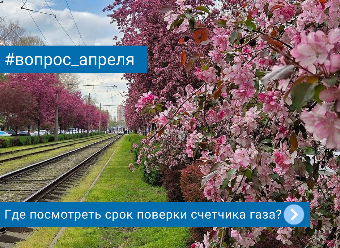 Итог месяца: самый частый вопрос апреля