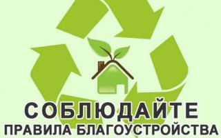 Работа по выявлению нарушителей Правил благоустройства территории города Ейска проводится администрацией на постоянной основе