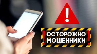 Продажа щенка оказалась схемой дистанционных мошенников  