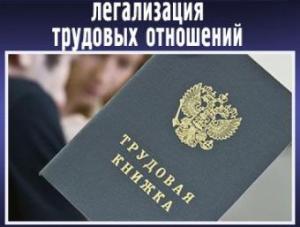 Более 38 тыс. жителей Кубани легализовали трудовые отношения с начала года