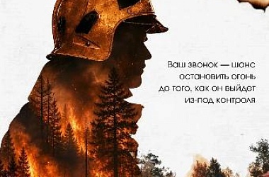 Берегите лес от пожара!