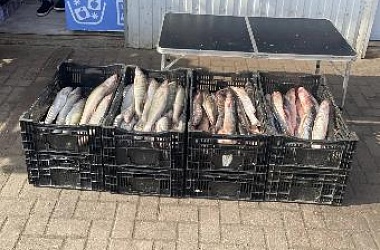 Сотрудники полиции проводят проверки в рамках оперативно-профилактического мероприятия «Путúна-2026»