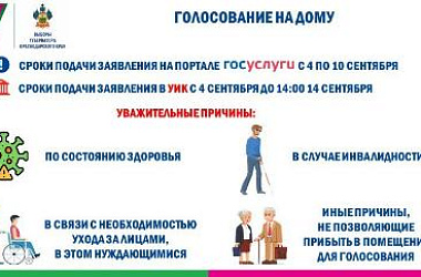 С 4 сентября стартовал приём заявлений о голосовании на дому