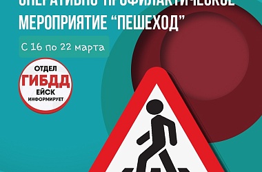 На территории Ейского района проходит оперативно-профилактическое мероприятие «Пешеход»